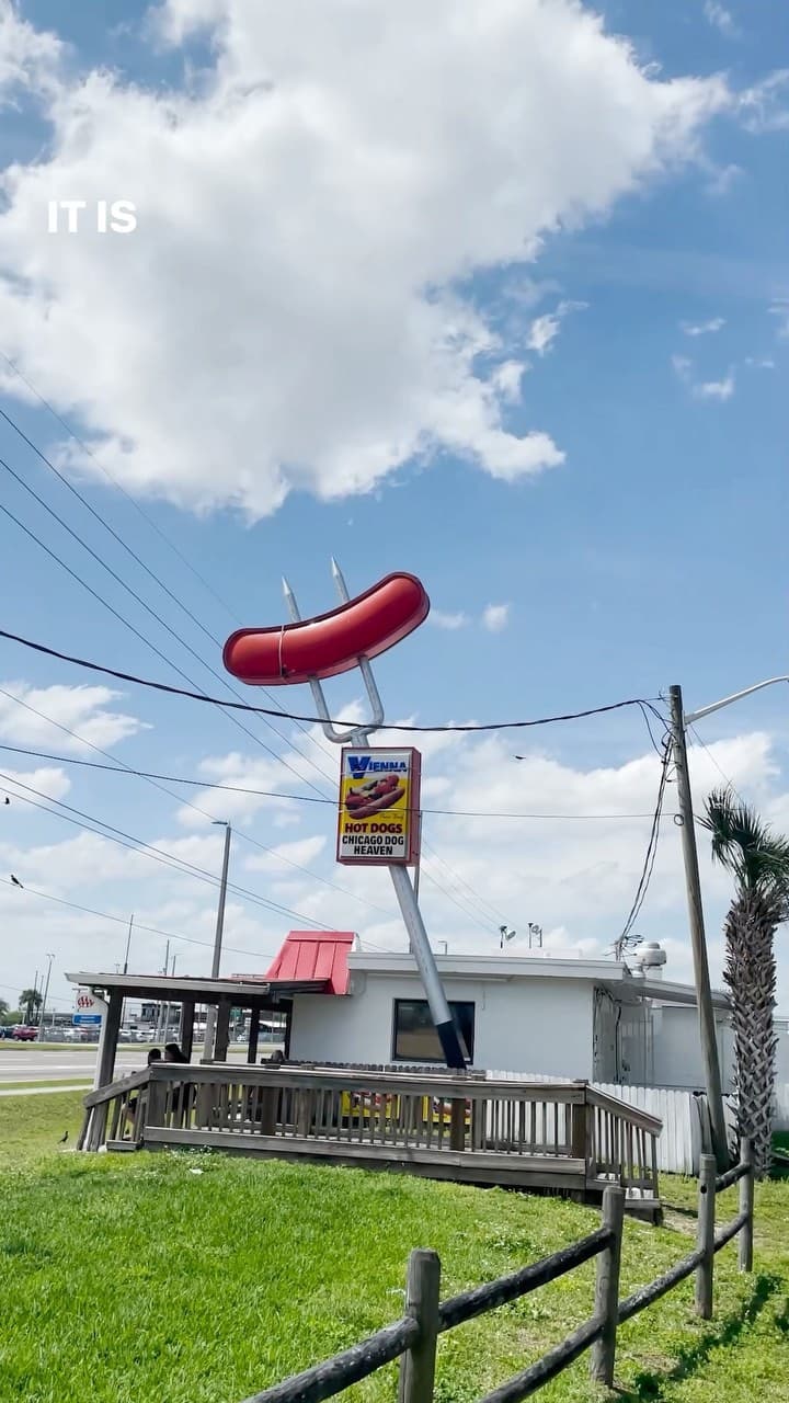 🌭 Let’s grab a hot dog from one of the best spots in Orlando! Hot Dog Heaven!