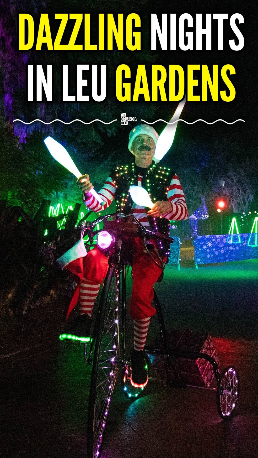 Experience the magic of Dazzling Nights at Leu Gardens, November 29, 2024 – January 5, 2025! 🌟 Stroll through millions…