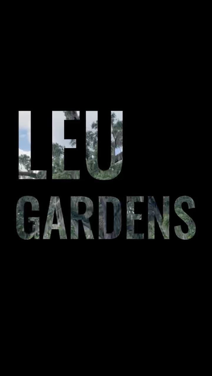 🪴 Leu Gardens is breathtaking! This beautiful spot in @winterparkfla is perfect for a stroll, photos, and as a venue…